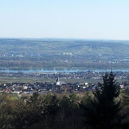 Zum Rebhang Bed & Breakfast Oestrich-Winkel Exteriör bild