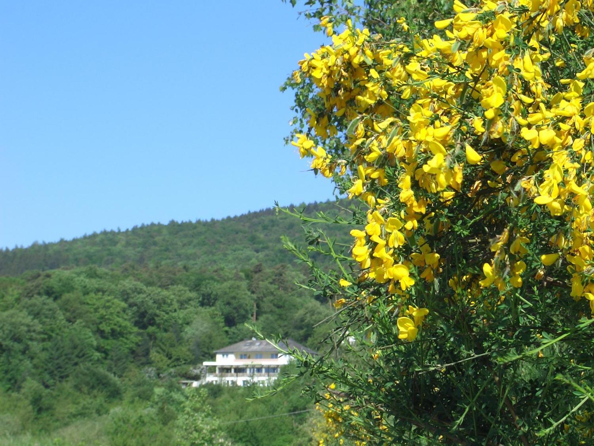 Zum Rebhang Bed & Breakfast Oestrich-Winkel Exteriör bild