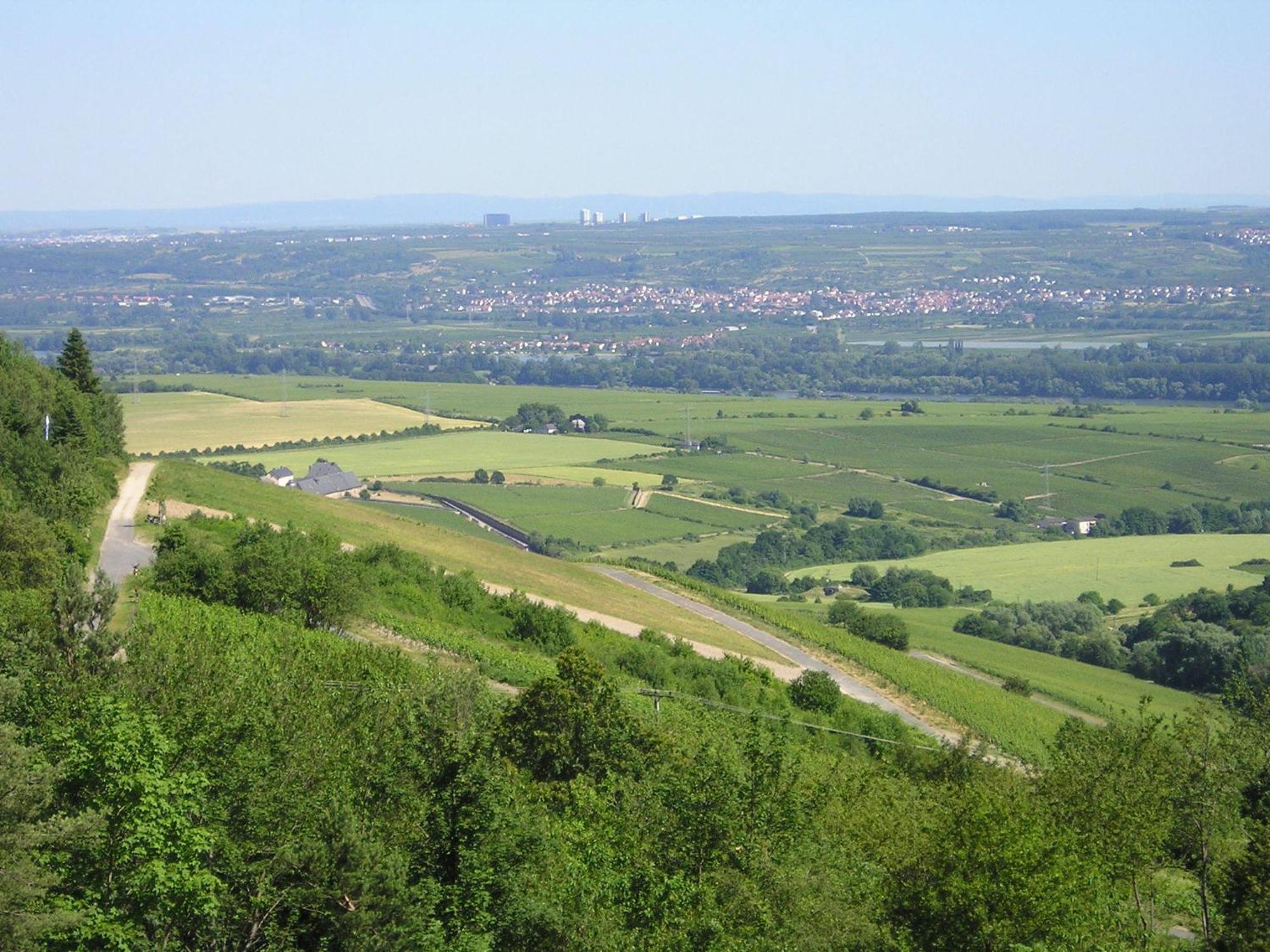 Zum Rebhang Bed & Breakfast Oestrich-Winkel Exteriör bild