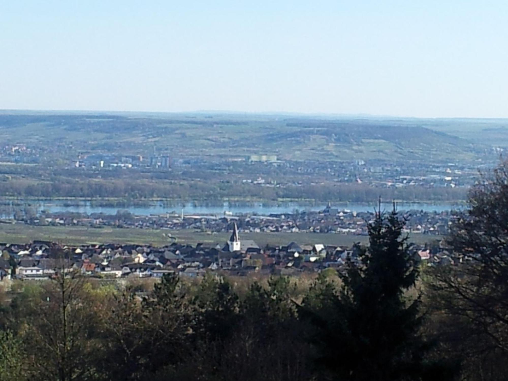 Zum Rebhang Bed & Breakfast Oestrich-Winkel Exteriör bild