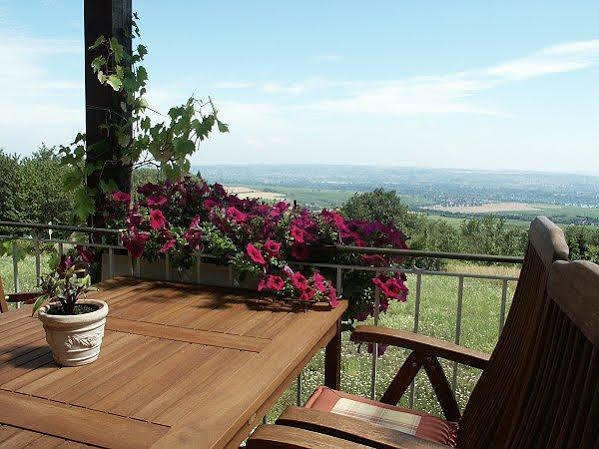 Zum Rebhang Bed & Breakfast Oestrich-Winkel Exteriör bild
